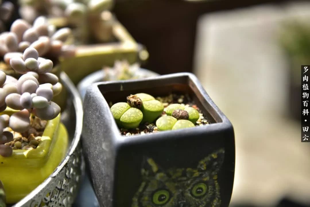 推开世界的门和自己和解,推开世界的门你所看到的风景