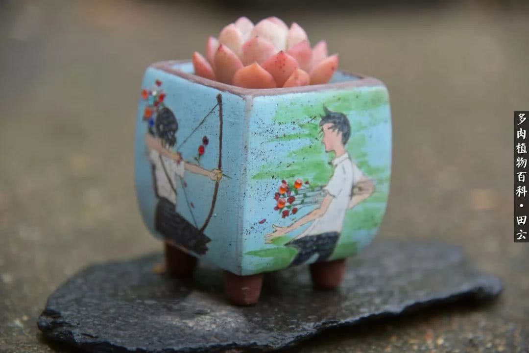 推开世界的门和自己和解,推开世界的门你所看到的风景