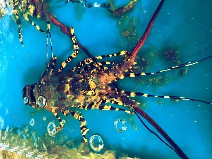 一个人的海口旅行,一个人的三亚自由行