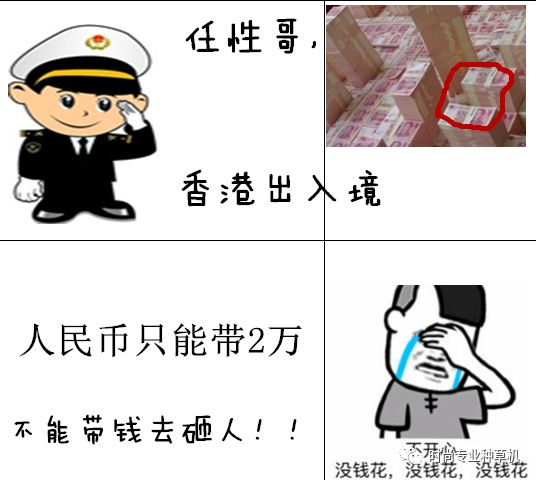 海关人脸识别系统怎样才会报警,海关人脸识别系统