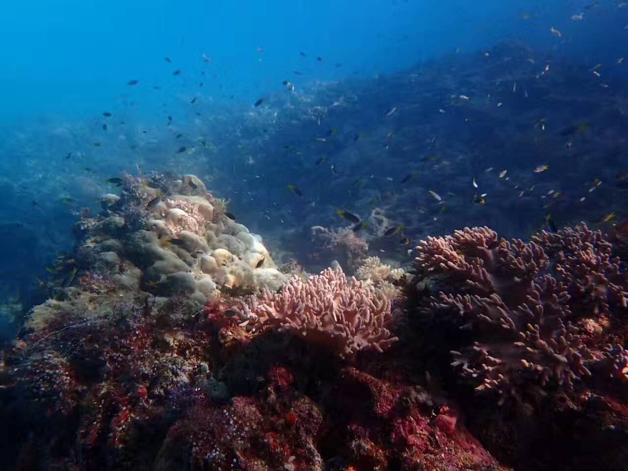 海岛地图最美风景打卡点,山东人少景美的海岛推荐