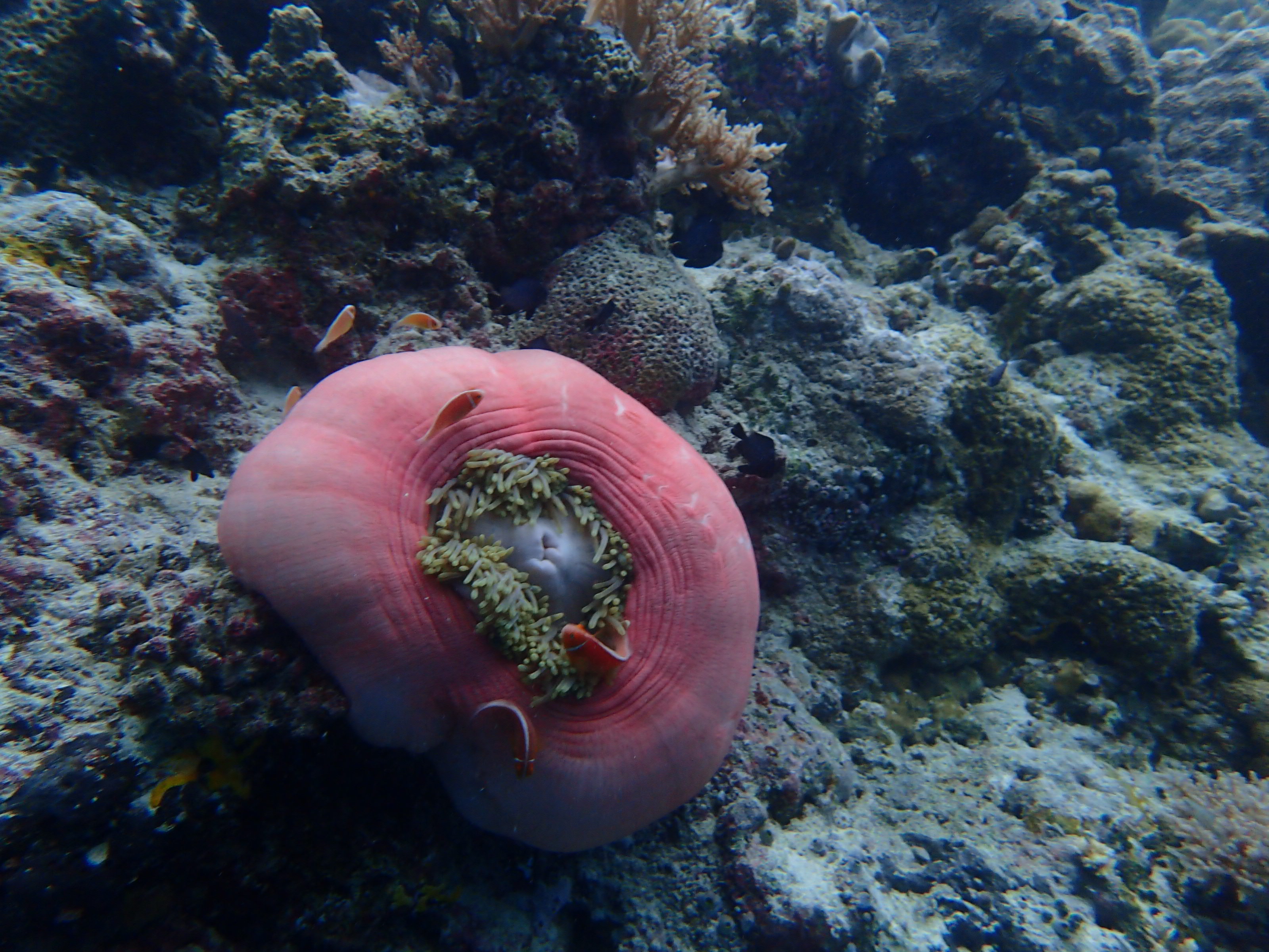 这个海岛国家｜景美人少，一个拍照P图的圣地！