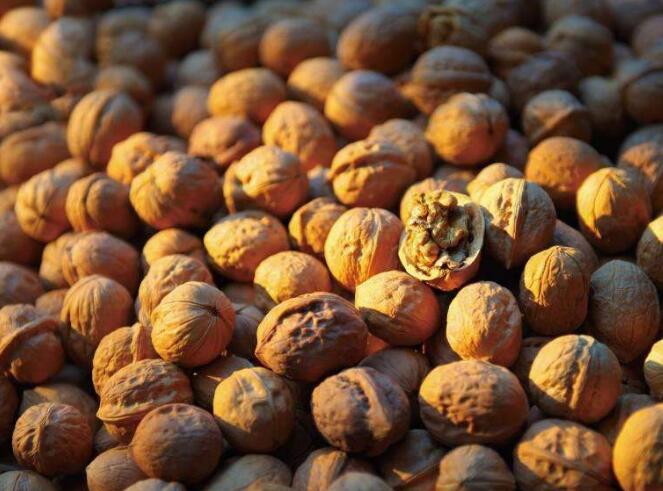 四川正宗核桃,四川特产核桃大全