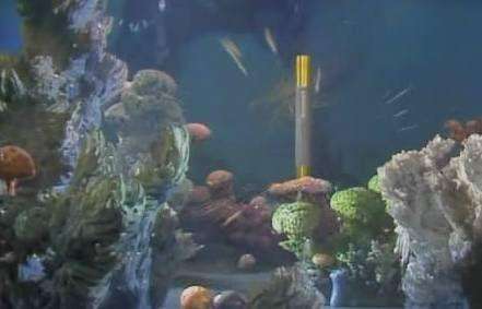 孙悟空和猪八戒谁厉害九齿钉耙,猪八戒的九齿钉耙到底是何神器