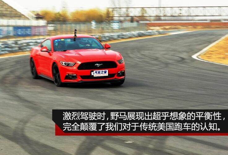 网友：力顶小野马，直喷奥迪宝马 玩脑筋急转弯？