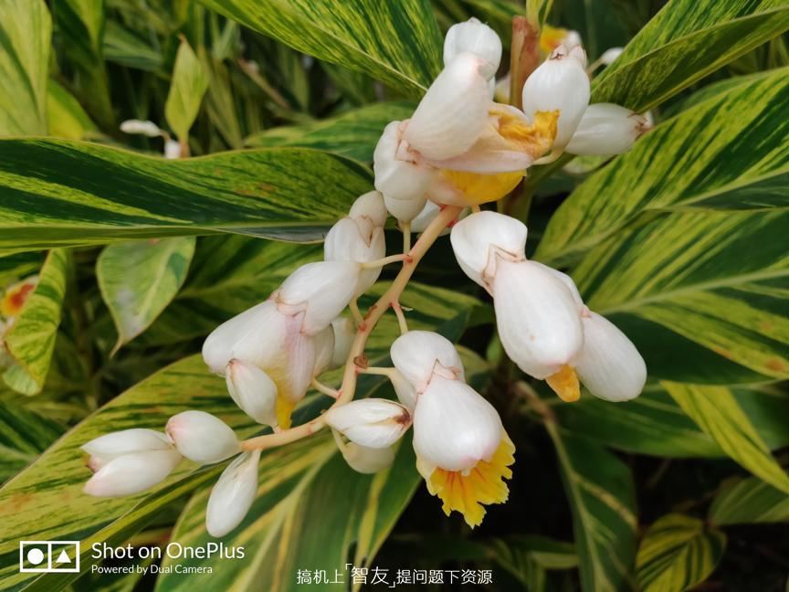 摄影续航-全速旗舰一加6测评：西装暴徒，脱下西装它隐藏着什么？