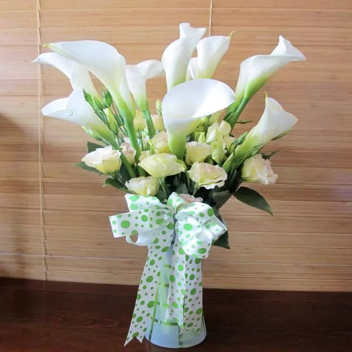 珍稀马蹄莲,如何让马蹄莲一年四季都活着