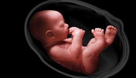 屁股小真的就不容易生育？老话这么说对吗？