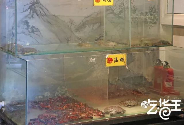 这家餐厅怎么做的如此火爆,这家餐厅的菜品丰富多样