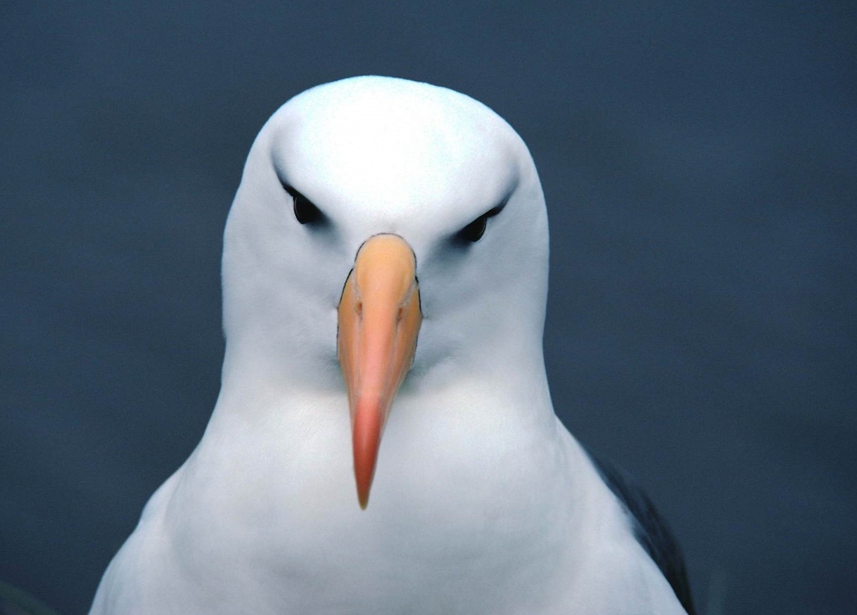 钱是好东西验证了人心见证了人性,钱是好东西男声完整版