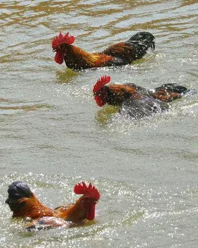 刚拍的你从未见过的集体照,史上最全的集体照