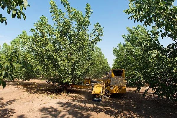 「诗词原创」罗武第｜村趣—乐隐柴门云涧度草鸡卧暖饮霞阳