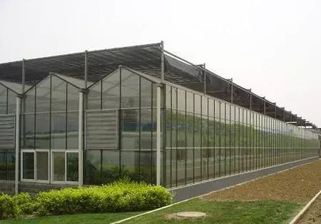 无土栽培的设施和建造,常见的无土栽培设施类型有哪些