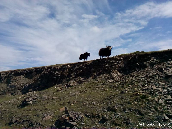 一个人、一只狗、一辆小踏板，风雨30天去*藏西**的故事（四）