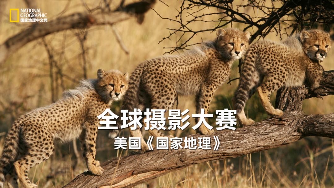 对对酒当歌人生几何有什么感悟,对酒当歌人生几何