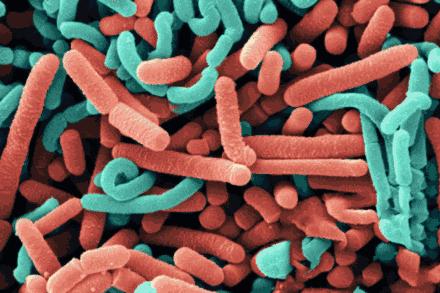 收缩毛孔提亮肤色李佳琦推荐,李佳琦缩毛孔控油