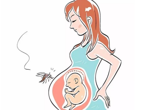 孕妇招蚊子怎么防止,孕妇老是招蚊子是怎么了