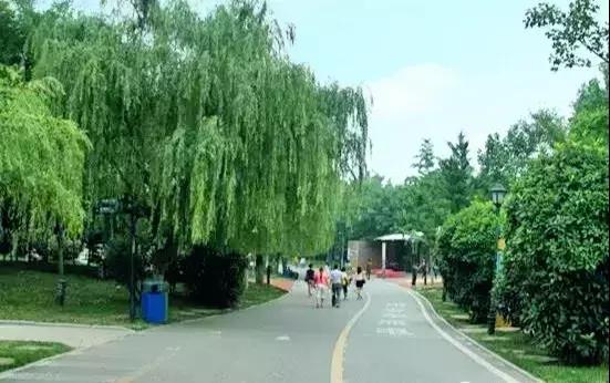 西安最美跑道,在美丽的操场上跑步