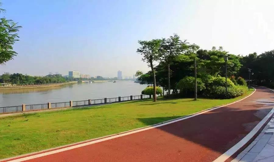 双流人公认的12大美女，一个比一个惊艳，简直是人间极品！