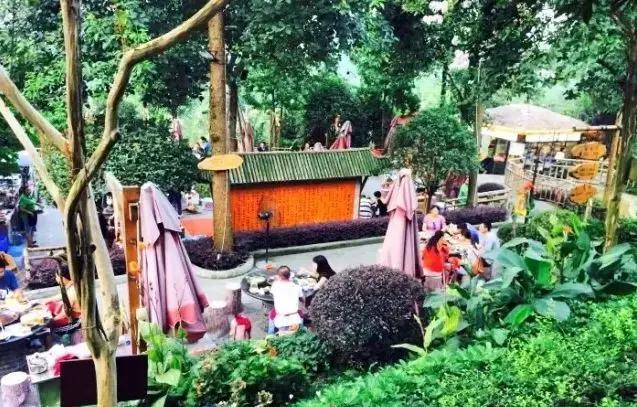 双流人公认的12大美女，一个比一个惊艳，简直是人间极品！