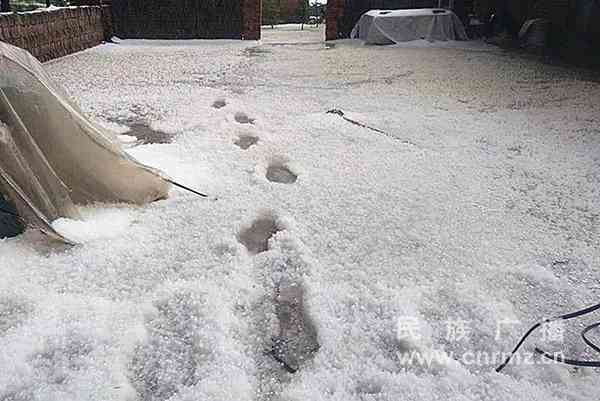 「晨报：小鸟热点预测」2018.0612-全网热点事件和问答列表