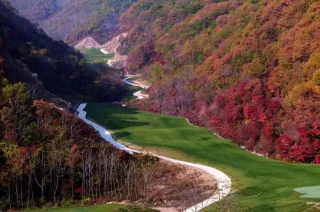 疆内春季风景,疆内美丽旅游景点