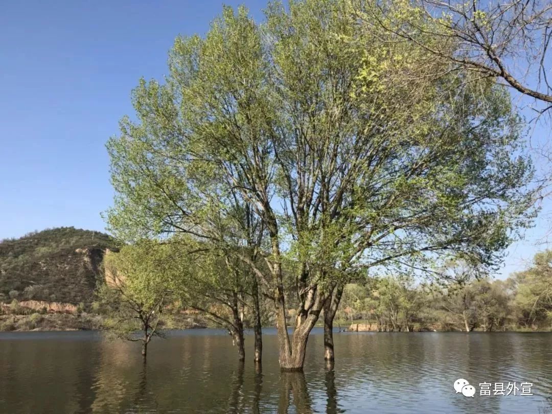 富县与富平是一个地方吗,富县是个好地方手抄报