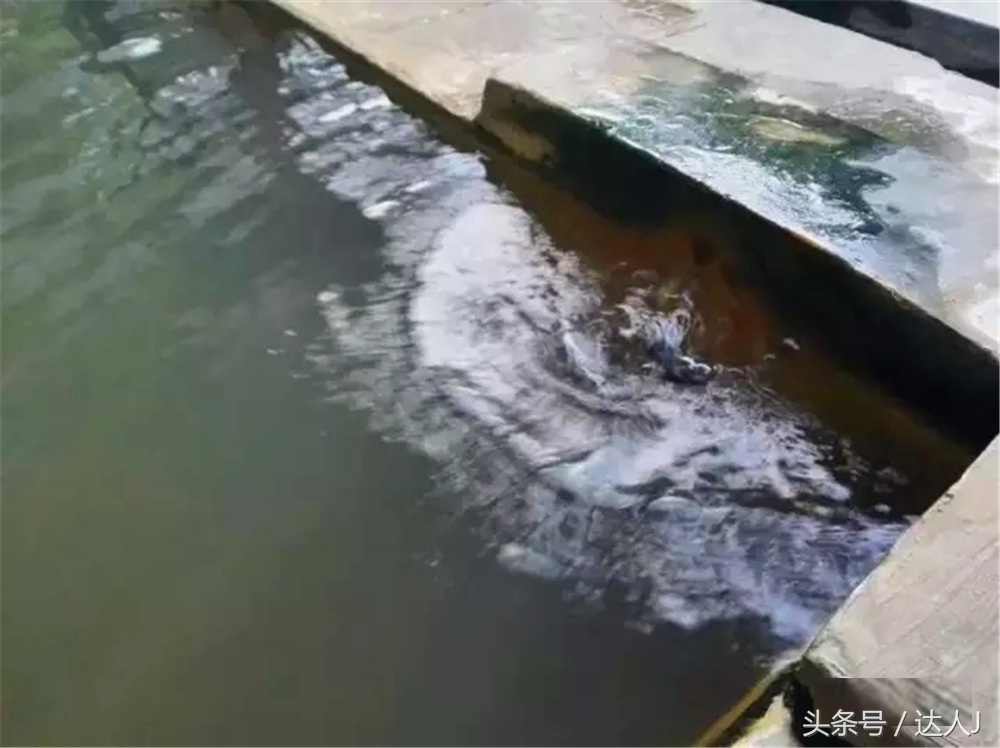 布罗莫火山要走多远,布罗莫是活火山吗