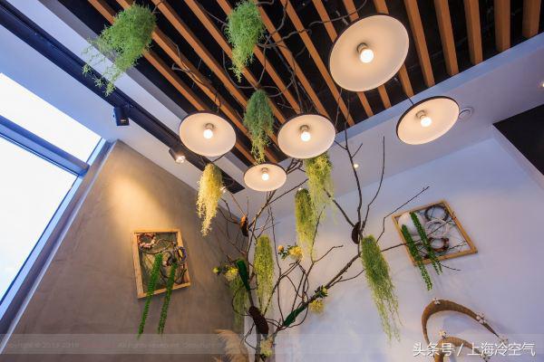 在向往的城市生活,启东向往的生活