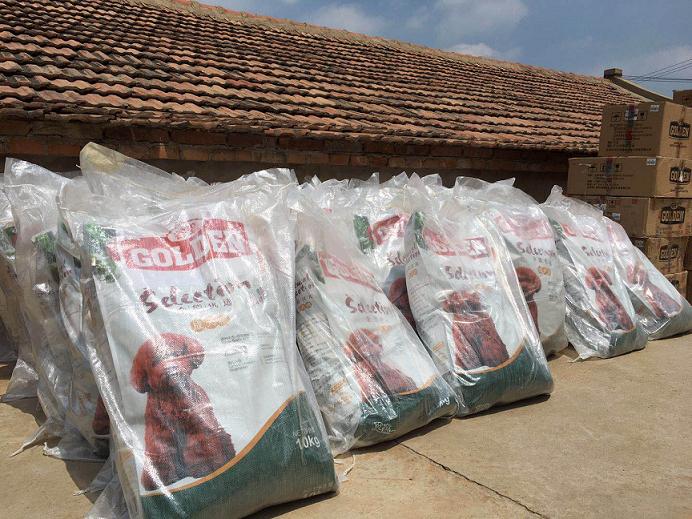 谷登50g什么水平,谷登公益