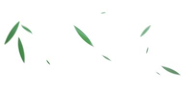 白夜追凶27解说,白夜追凶19集在线看