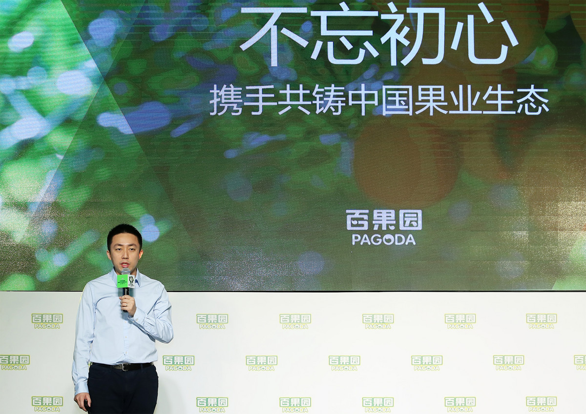 商业模式创新案例100个百果园,百果园融资历程