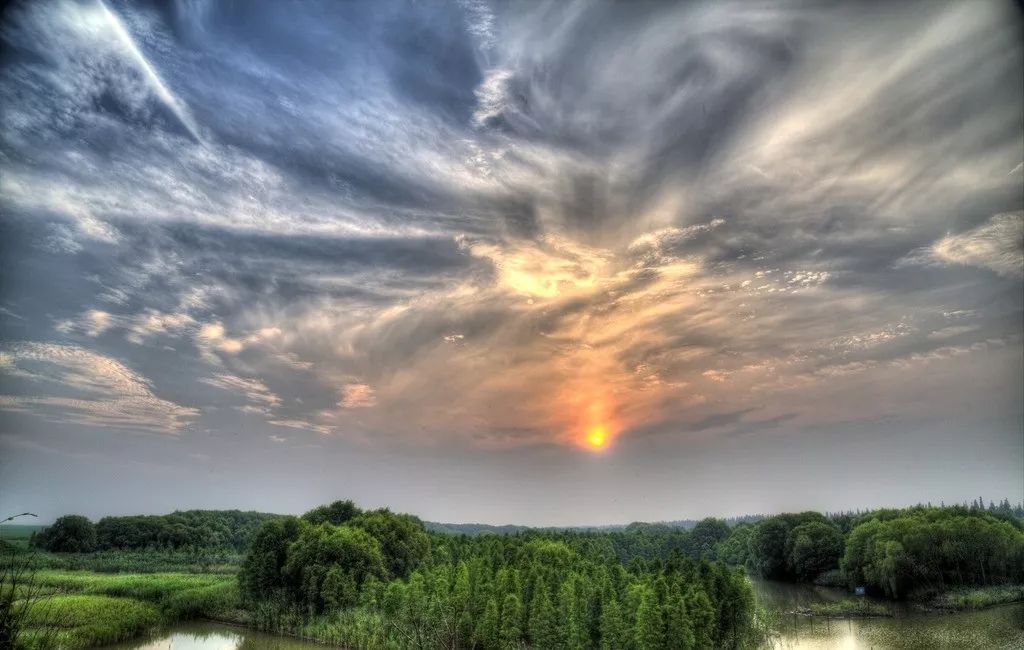 在上海生活有哪些福利可以领,外地人在上海享受的福利