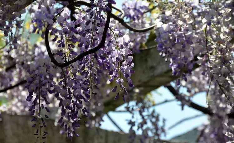 在上海生活有哪些福利可以领,外地人在上海享受的福利