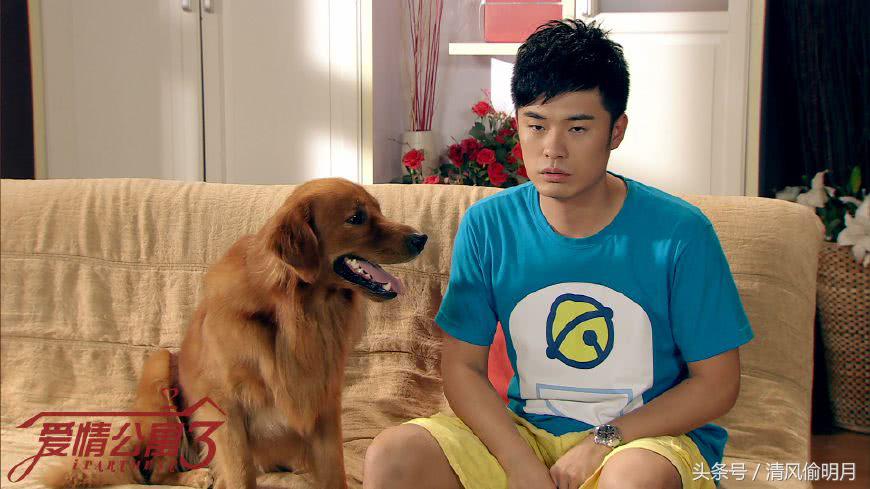 爱情公寓5陈赫演什么都像曾小贤,爱情公寓陈赫为什么是特别出演