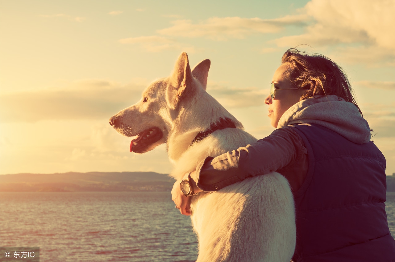 狗在家里能憋多久,狗能憋一晚上尿吗