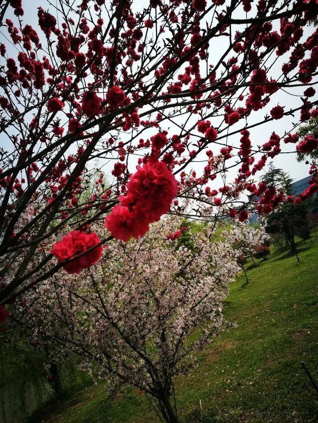 盐工是在亭湖区吗,盐工属于什么工作