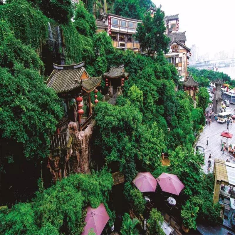 “想不红都难”系列:欢迎全世界的朋友来渝中蹭网