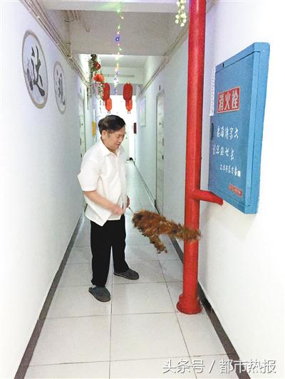 老小区的“楼道化妆师”打消了她想搬家的心