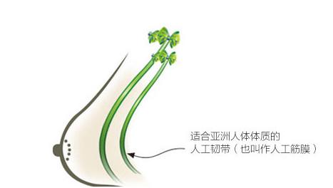 如何让下垂的乳房挺拔,乳房下垂怎样锻炼恢复挺拔