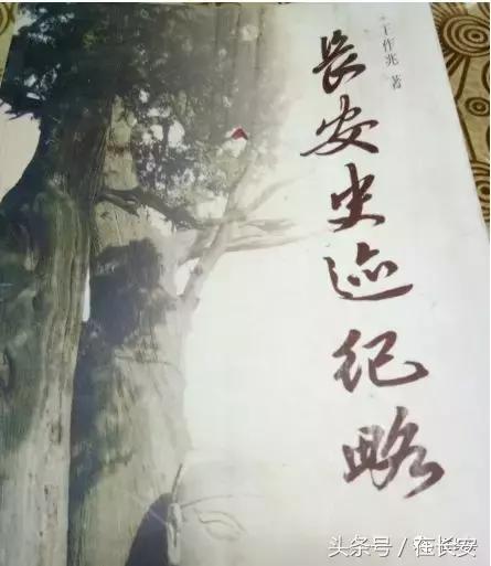 西南村西安,长安区西南村