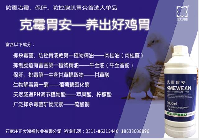 专注于动物保健非抗生素领域研发，致力成为此领域世界一流制造企业——石家庄正大鸿福集团2018-2019年度总结大会记