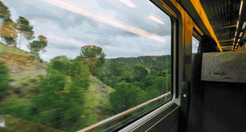 增城那些事最新,增城近期发生的事