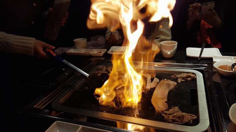 世界杯观赛指南书籍,第1期世界杯观赛指南