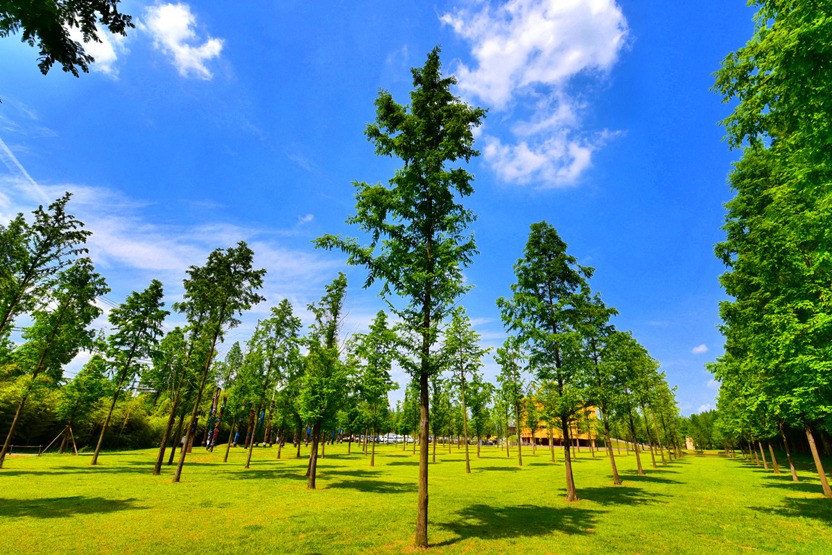 韩国公认最好看的韩剧,韩国最好看的电视剧排行榜第一名