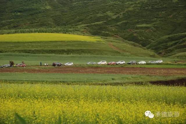 丰宁坝上草原深度游,京郊最美草原