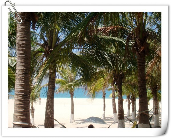 带着梦想去远行视频,带着梦想出发走过春夏秋冬