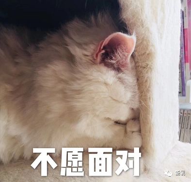 迪丽热巴被p图事件回应,迪丽热巴被p图的视频