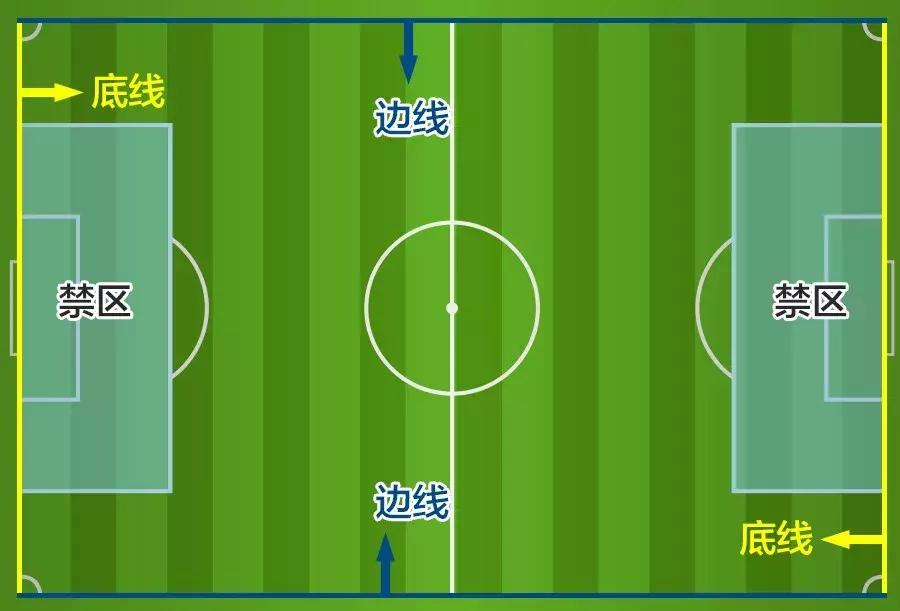一分钟教你看懂球,老司机传授打篮球知识