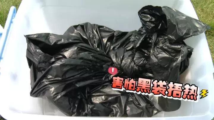 孩子也没感冒突然就开始咳嗽,孩子打喷嚏流鼻涕但没有感冒